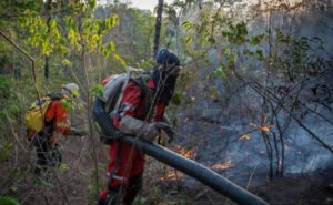 Read more about the article ONG Associação Rede Contra Fogo se dedica a preparar brigadistas para combater incêndios na Chapada dos Veadeiros