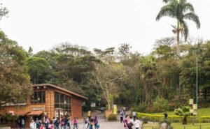 Read more about the article A estratégia de combate a incêndio do Parque Zoológico de São Paulo: preservando mata e salvando vidas